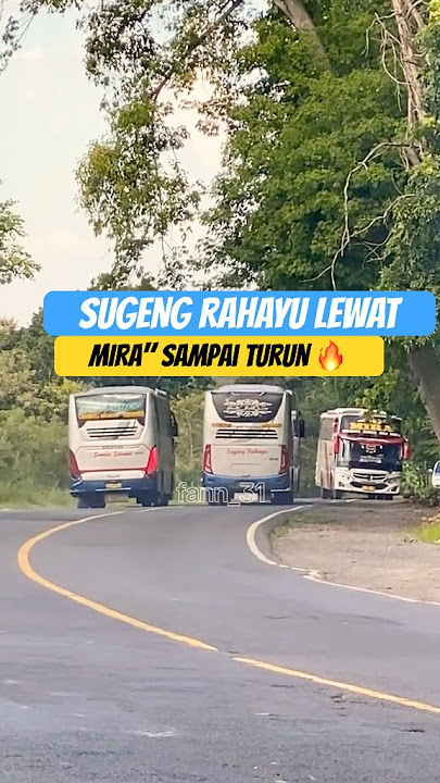 mira mengalah | pas sugeng rahayu ngeblong #sumbergroup #busmania #sugengrahayu