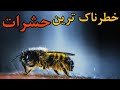 خطرناک ترین و ترسناک ترین حشرات حشراتی که شما را به کام مرگ می برند 