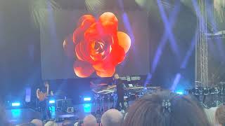 SCHILLER - Sommerluft Live Open Air am 08.07.2023 - Seebühne Bremen - Die schwarze Orchidee