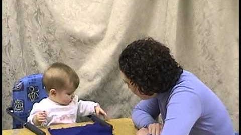 Piaget Infant Object Permanance Fail