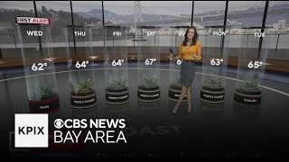 First Alert Weather Tuesday evening forecast 11-4-25