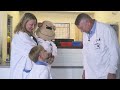 Monkey Wellbeing - Harvey's Gang Tour
