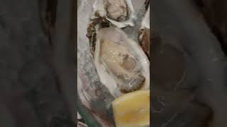 Eating OYSTERS OSTRAS УСТРИЦЫ in Málaga 8 March 2022