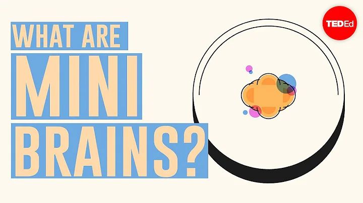 What are mini brains? - Madeline Lancaster