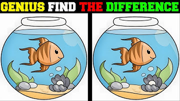 Think Fast! Can You Find the 3 Differences?