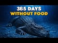 Why The Black Caiman Just Won't Die
