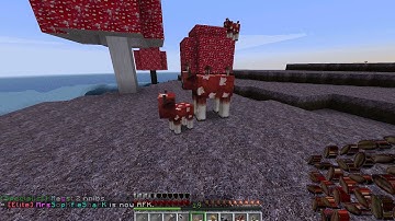 Minecraft   Mooshroomin