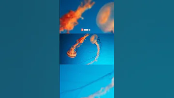 Почему кубомедуза самое смертельное существо на земле.#shorts #новости #факты #шортс