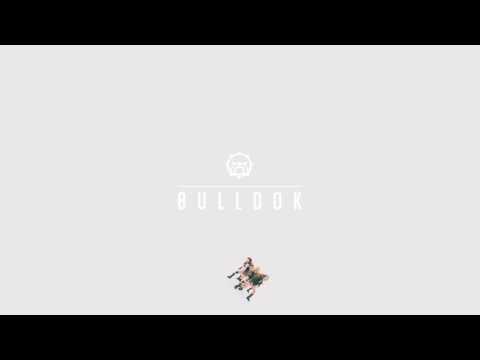 불독-어때요