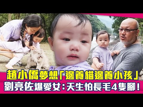 趙小僑夢想「邊養貓邊養小孩」 劉亮佐爆愛女：天生怕長毛4隻腳！