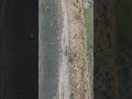 মাটির রাস্তা ধরে একলা গাড়ি ছুটে চলে… 🚗✨ #DroneView #VillageVibes”