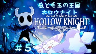 【ホロウナイト】難しいメトロイドヴァニアな世界を駆け巡る！！＃５【Hollow Knight】