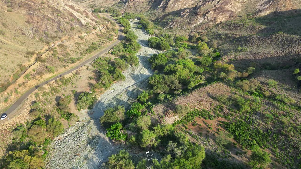 ال عزة وادي مرة تهامة باللحمر محايل عسير