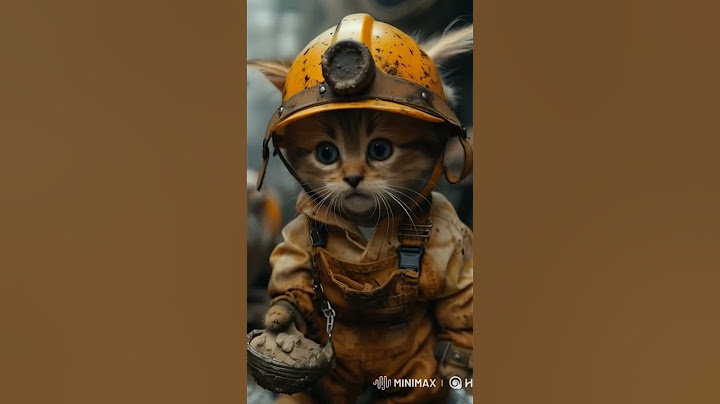 "Mission Impawsible: Deadline Edition" #cat #cute #cutecat #cuteanimal #kittey #cutepet #funny