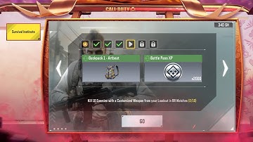 Kill 10 Enemies with a Customized Weapon from your Loadout in BR Matches (0/10)