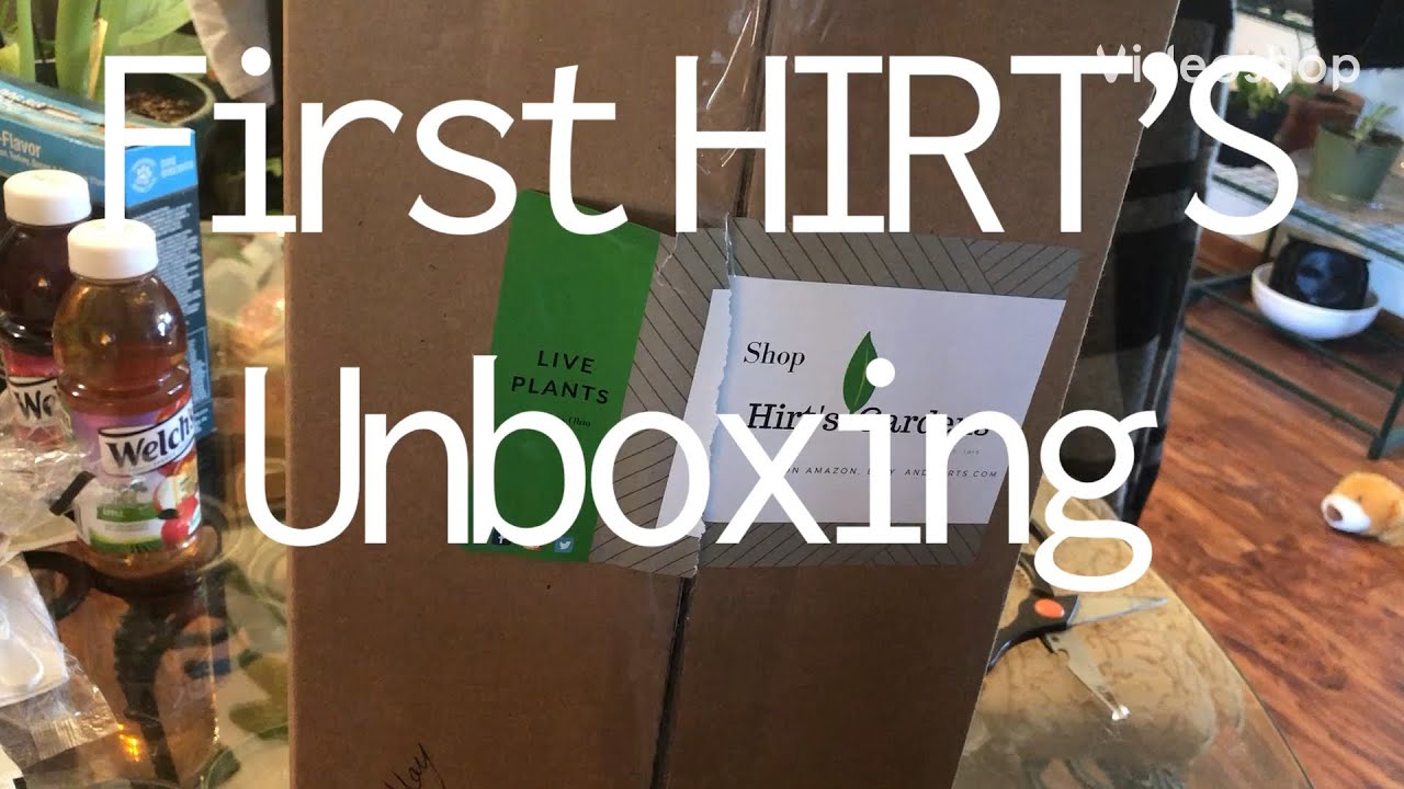 First Hirts Garden Unboxing????