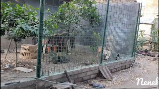 Harga Besi Wiremesh
