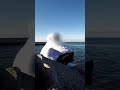 Шакали в горах