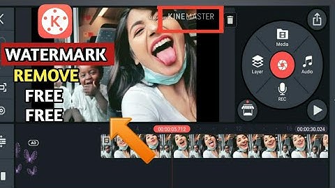 How To Remove Watermark in Kindmaster  For Free.| Best Mobile Video Editor in 2020 (Alternative Way)