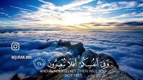 وَفِي الْأَرْضِ آيَاتٌ لِّلْمُوقِنِينَ ~ القارئ إسلام صبحى