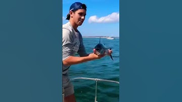 False Albacore CATCH 🐟 #shorts #viral #fishing #gopro