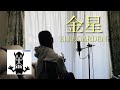 「金星」ELLEGARDEN covered by Maiko