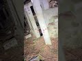 住んでるとは!? #心霊 #心霊配信