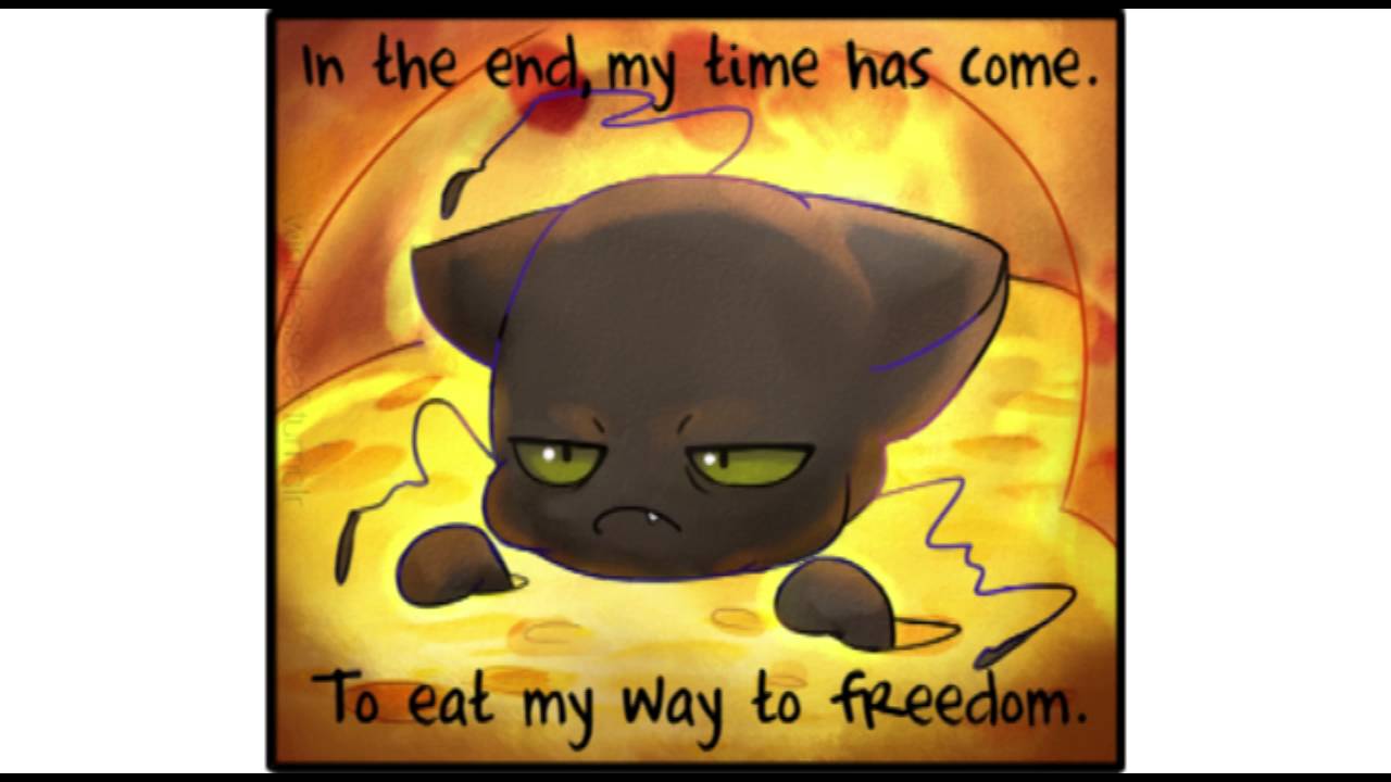 [Miraculous] Plagg vs the Cheese YouTube