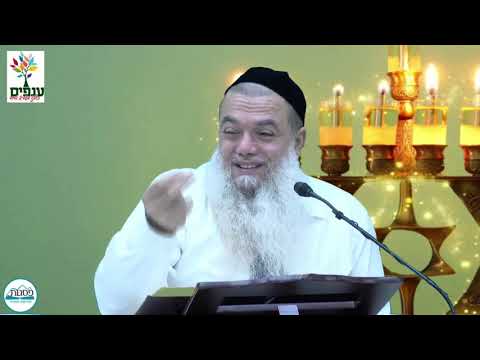 חנוכה: כל ההכנות לחג - הרב יגאל כהן - שידור חי HD