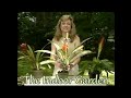 How to Grow a Bromeliad: The Prickly and Unusual Aechmea &#39;chantinii samauri&#39;