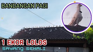 TUMBANGNYA BANDANGAN BLOROK SAMAR OLEH PASUKAN KAPAK MUDA