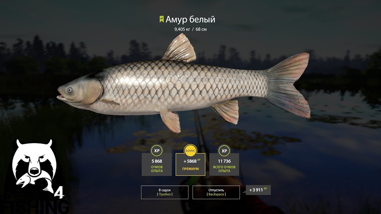 Карта клева рр4 в вк