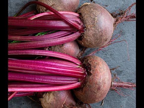 Beets 101-How to Freeze Beets