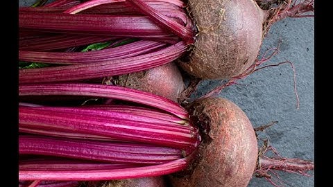 Beets 101-How to Freeze Beets