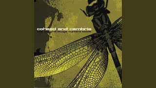 Hearshot Kid Disaster