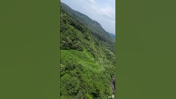 Almost hit it !!  DJI O3 | Cinelog20 #shorts