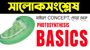 WBBSE CLASS 9 - সালোকসংশ্লেষ Introduction । BASIC CONCEPTS of PHOTOSYNTHESIS🌿🍀 । BotanyTv