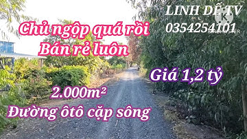 T1165💕cần tiền gấp bán rẻ 2 công vườn dừa đường ôtô cặp sông giá 1,2 tỷ,ở xã long định,CT,TG