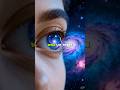 Parallel Universes Might Exist… Here’s Why 😨