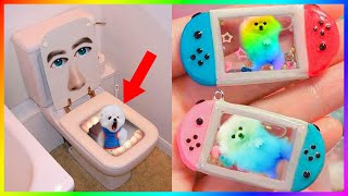 Tik Tok Chó Phốc Sóc Mini 😍 Funny and Cute Pomeranian 🐕 #453