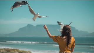 10 top natural history moments