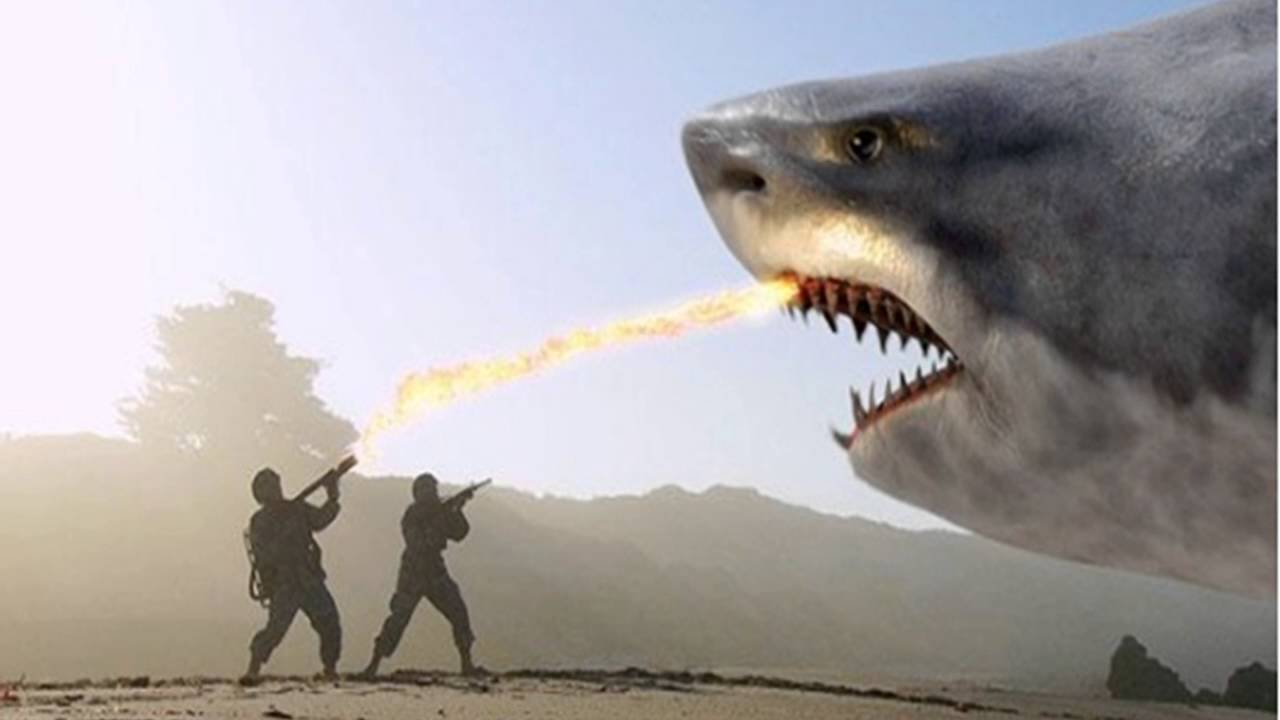 The Top 5 Shark Movies