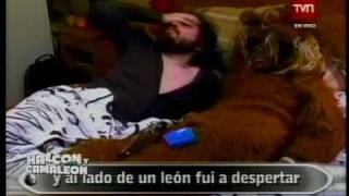 Difamadores - Endeudate - Bandas Detergentes