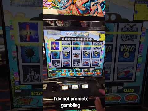 spinbet promo code getx24spinbetter download link app