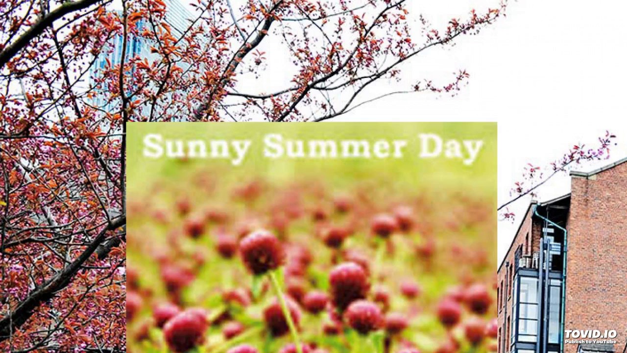 Sunny Summer Day - You're The One For Me