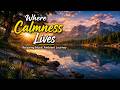 Relaxing Piano Ambient Journey for Stress Relief &amp; Inner Peace
