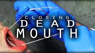 How To Stitch a Dead Mouth Shut