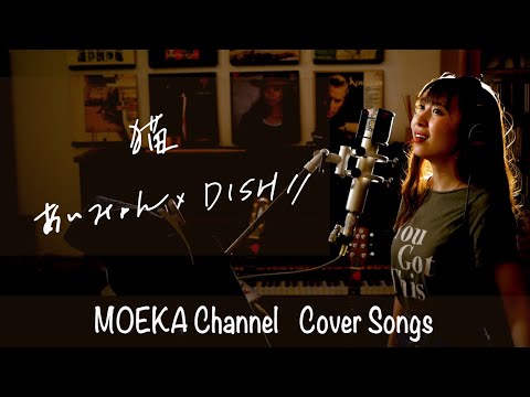 猫　/　あいみょん ×DiSH//　Unplugged Cover by MOEKA　フル歌詞