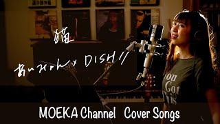 Video thumbnail of "猫　/　あいみょん ×DiSH//　Unplugged Cover by MOEKA　フル歌詞"