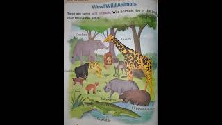 wild Animals Name's 🐆🐘#learning #wildanimalsnames #shorts #shortvideo #short #knowledge #education 💯